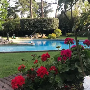 Albina Bed & Breakfast